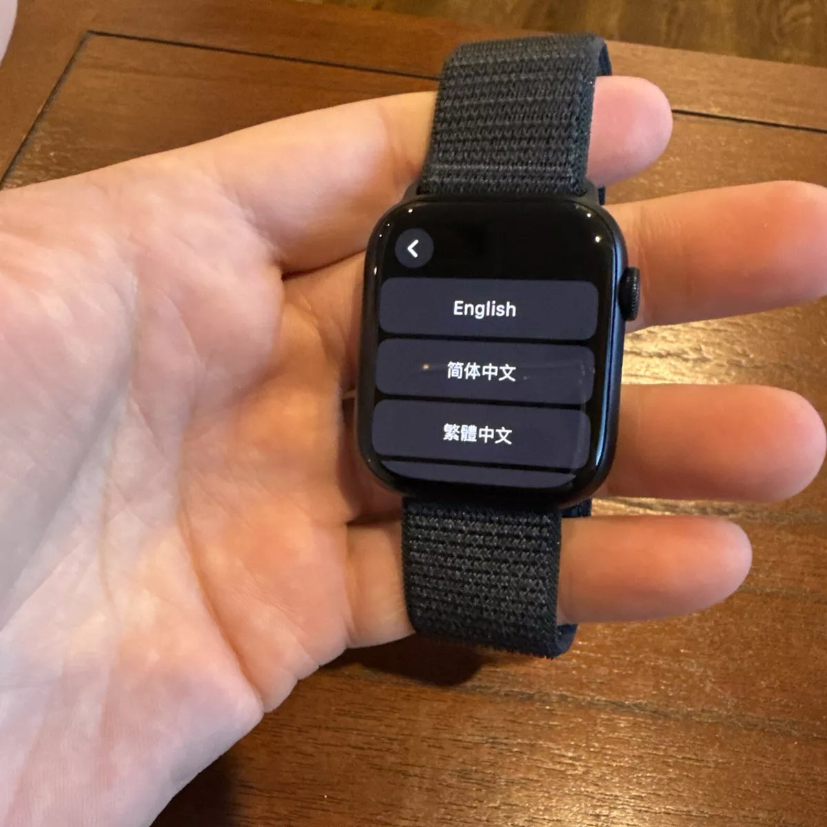 Apple logo series 10 Black with Black Nylon Strap